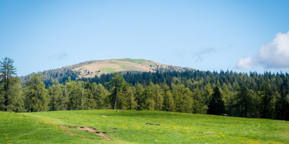 Blick vom Möltner Joch zu den Stoanernen Mandln